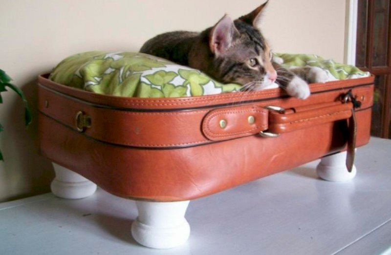 Мягкая мебель для кошек.